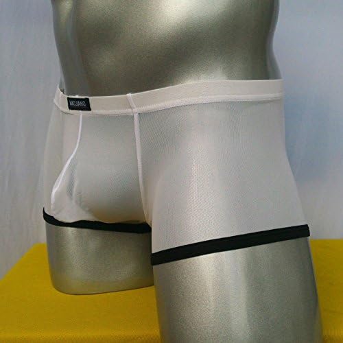 Men's Underwear See-Through Comfortable Sexy Boxer Briefs 6 Colors (L, White)