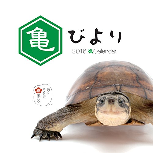 亀びよりカレンダー2016(壁掛け) ([カレンダー])