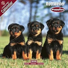 2009 Rottweiler Puppies Wall Calendar