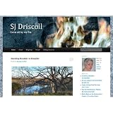 SJ Driscoll: Come sit by my fire ~ SJ Driscoll