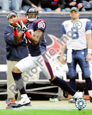 Andre Johnson Houston Texans 8x10 Photo