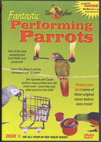 FANTASTIC PERFORMING PARROTS - Feathered Phonics 