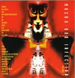 Macro Dub Infection Vol.2