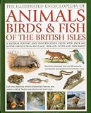 The Illustrated Encyclopedia of Animals, Birds & Fish of the British Isles: A Natural History and Identification Guide Wit...