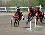 Wallmonkeys Peel and Stick Wall Decals - Harness Racing - Removable Graphic