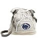 Penn State Nittany Lions Hoodie Messenger Bag