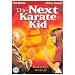 The Next Karate Kid [DVD] [1994]