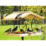 Bird ins Choice Wrought Iron And Cedar Fly-Thru Platform Bird Feeder