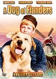 A Dog of Flanders [DVD] [1959]