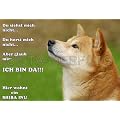 Metall-Warnschild Shiba Inu