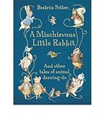 A mischievous little rabbit : tales of danger and daring
