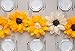 Martha Stewart Crafts 44-10220 Tissue Pom-Pom Kit, Black-Eyed Susan Flowers, Yellow