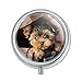 Yorkie Yorkshire Terrier Puppy Dog in Briefcase Trunk Suitcase Pill Case Trinket Gift Box