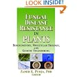 Fungal Disease Resistance in Plants: Biochemistry, Molecular Biology, and Genetic Engineering (Crop Science) (Crop... by Zamir K Punja and Zamir Punja