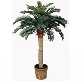 51UmURnfuUL. SL160  4 Ft Sago Silk Palm Tree