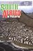 South Africa in Pictures (Visual Geography (Twenty-First Century))
