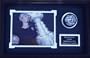 Dave Andreychuk Autographed Hockey Puck with a 8" x 10" Photograph 12" x 18" Deluxe Photograph Frame
