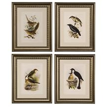 Set of 4 Birds On Branches Wall Decor