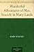 Wonderful Adventures of Mrs. Seacole in Many Lands