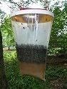 Flies be Gone Non Toxic Fly Trap (red / yellow) (10"H x 7"W x 7"D)