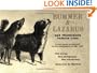 Bummer & Lazarus: San Francisco's Famous Dogs