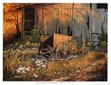 Abandoned Beauty - Michael Humphries Art Print Poster 17 x 13