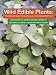 Wild Edible Plants: The Ultimate Guide to Identifying and Harvesting Wild Food!
