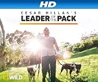 play video on Amazon Instant Video