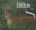 White-tailed Deer 2009 Deluxe Wall Calendar