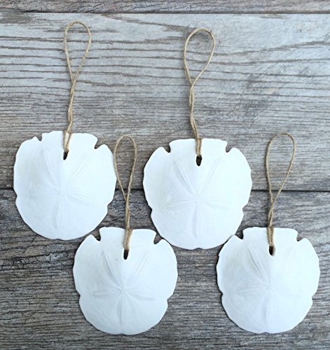 Sand Dollar Ornaments | Natural Sand Dollars 3" with Jute Twine | Set of 4 | Real Sand Dollars for Beach Wedding Decor | Plus Free Nautical eBook by Joseph Rains