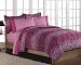 Girls Teen Hot Pink Zebra Print Comforter Set