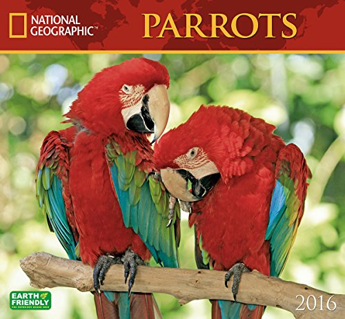 parrots national geographic 2016 wall calendar