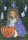 Shetland Sheepdog Halloween Greeting Cards
