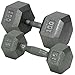 Champion Barbell 35 lbs. Solid Hex Dumbell with Ergo Grip