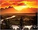Search : Golden Sunset