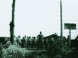 Burmese Harp -  Criterion Collection