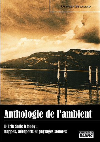 ANTHOLOGIE DE L'AMBIANT D'Éric Satie à Moby : nappes, aéroports et paysages sonores: 248 (French Edition)