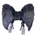 Adult (Black) Feather Angel Wings Adult