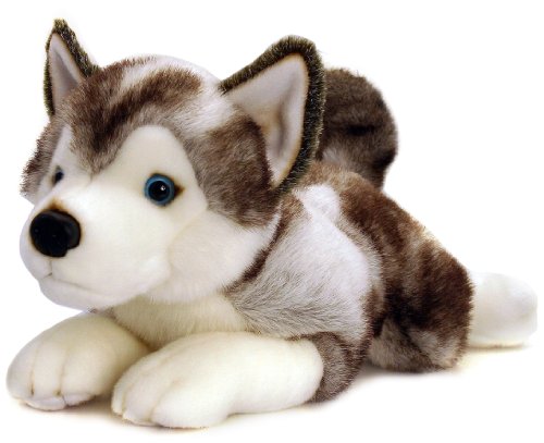 Storm Husky Soft Toy Dog - Large 50cm Plush by Keel Toys