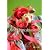 flower home decoration (花作家が贈る花☆ポストカードブックシリーズ)
