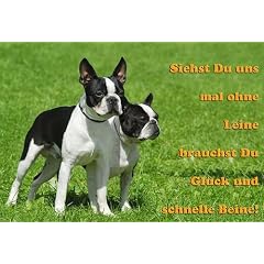 Metall - Warnschild Boston Terrier