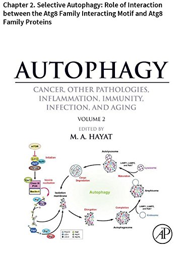Autophagy: Chapter 2. Selective Autophagy: Role of Interaction between the Atg8 Family Interacting Motif and Atg8 Family Proteins