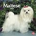 image 18 - Maltese 2010 Calendar Square Wall