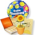 Produkt-Information