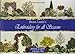 Embroidery for All Seasons (Milner Craft Series)