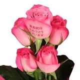 �t���[���b�V�� ���b�Z�[�W���[�Y (����) �s���N 5�{ �\���݃L�b�g 18588