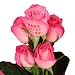 �t���[���b�V�� ���b�Z�[�W���[�Y (����) �s���N 5�{ �\���݃L�b�g 18588