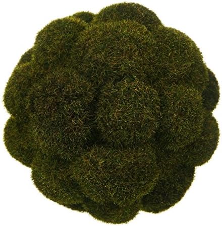 8.5 Inch Woodland Moss Ball