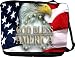 RikkiKnight American Flat Eagle Design Messenger Bag - Book Bag ***with matching coin purse wallet**