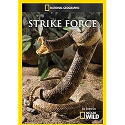 Strike Force